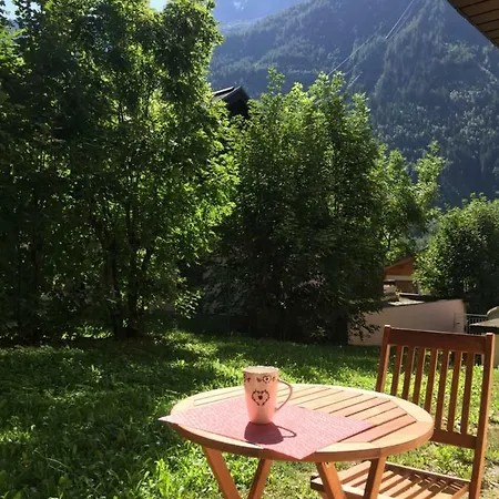 Chamonix Studio Jardin Buitenkant foto