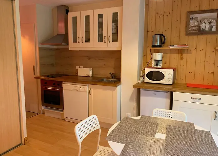 Chamonix Studio Jardin